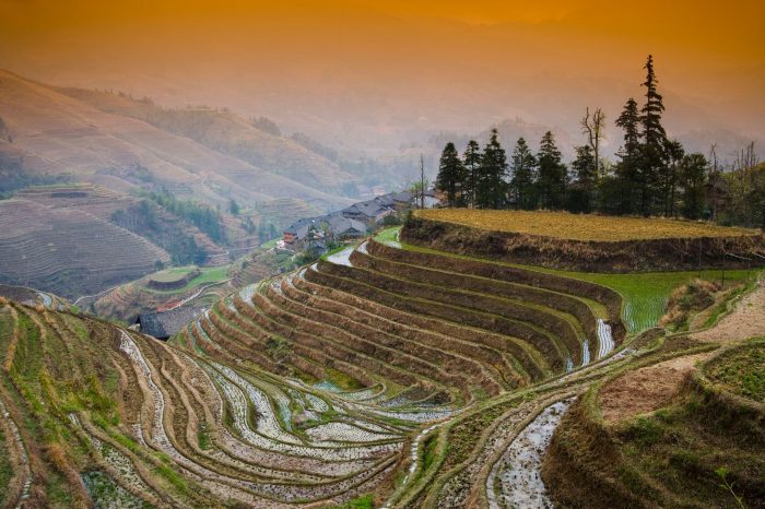 Die Schönheit von China entdecken