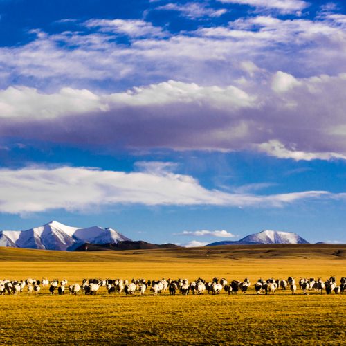 Mount Kailash Umrundung