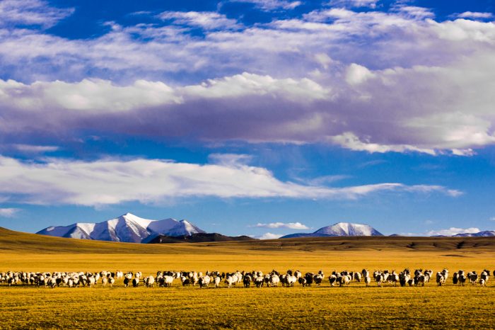 Mount Kailash Umrundung