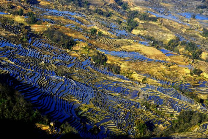 Yunnan Reisen: kontrastreiches Paradies