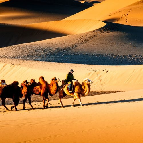 China Highlights mit Seidenstraße, Lamakloster und durch Durchquerung Taklamakan Wüste