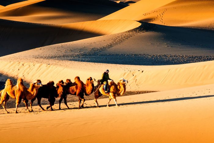 China Highlights mit Seidenstraße, Lamakloster und durch Durchquerung Taklamakan Wüste