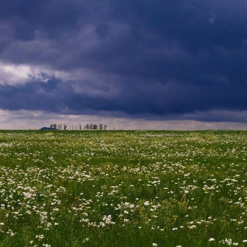 Reisen nach Osten der Inneren Mongolei