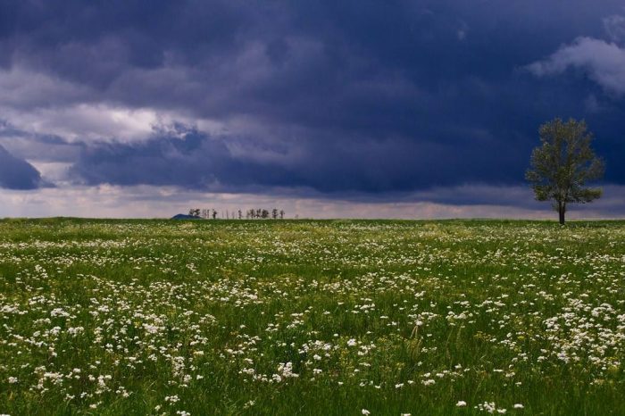 Reisen nach Osten der Inneren Mongolei