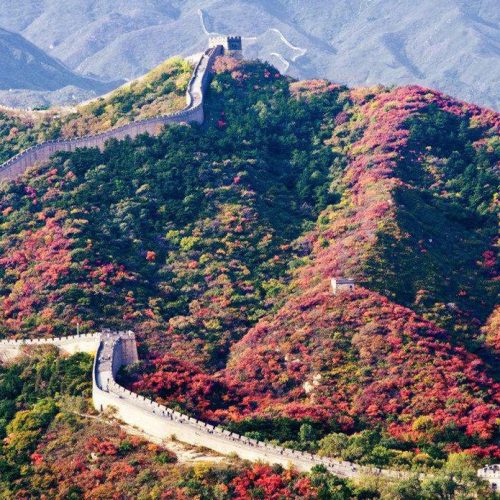 Essential von China und die Große Pandas