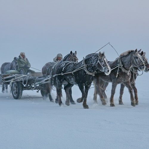 2020/2021 Harbiner Internationales Eis- und Schneefest, chagan See-Winterfischen und Raureifinsel