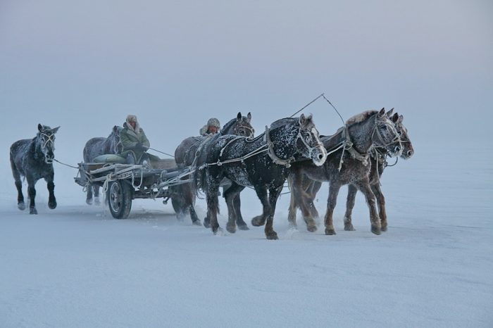 2020/2021 Harbiner Internationales Eis- und Schneefest, chagan See-Winterfischen und Raureifinsel