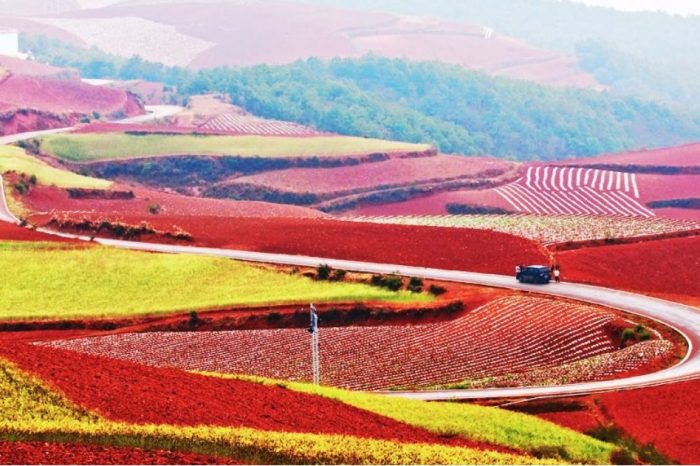 8 Tage Dongchuan-Yuanyang-Jianshui Fantastische Fototour