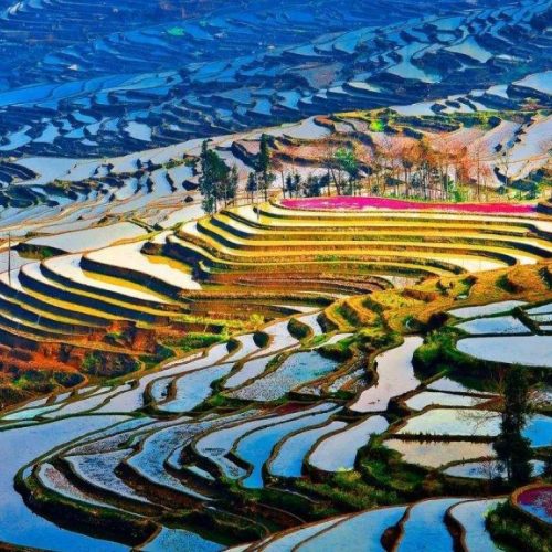 3 Tage Yuanyang Reisterrassen & Hani Kultur Entdeckungstour