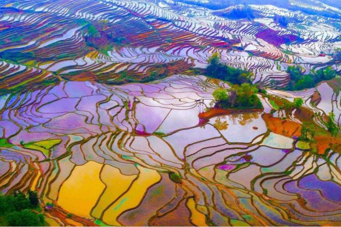 4 Tage Yuanyang-Reisterrasse Fantastische Fototour