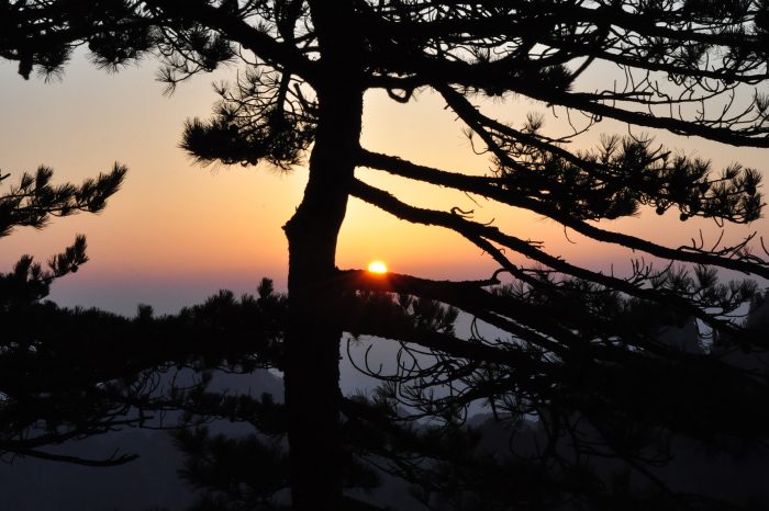 Huangshan Fototour