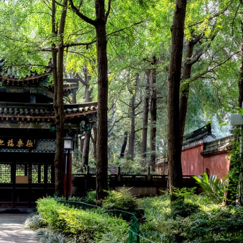 3 Tage Chengdu Highlights Tour