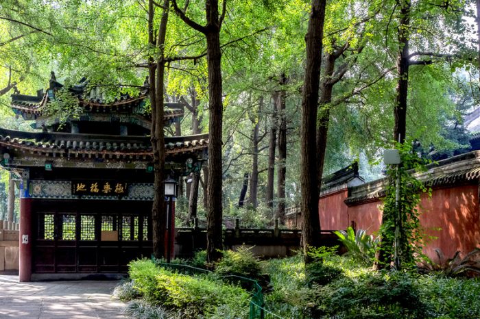 3 Tage Chengdu Highlights Tour