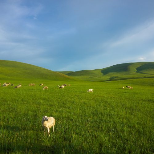 2 Tage Innere Mongolei Tour