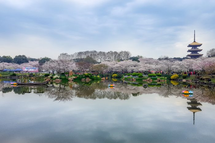 2 Tage unentbehrliche Wuhan-Stadtrundfahrt