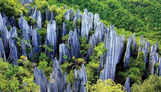 Kunming Steinwald