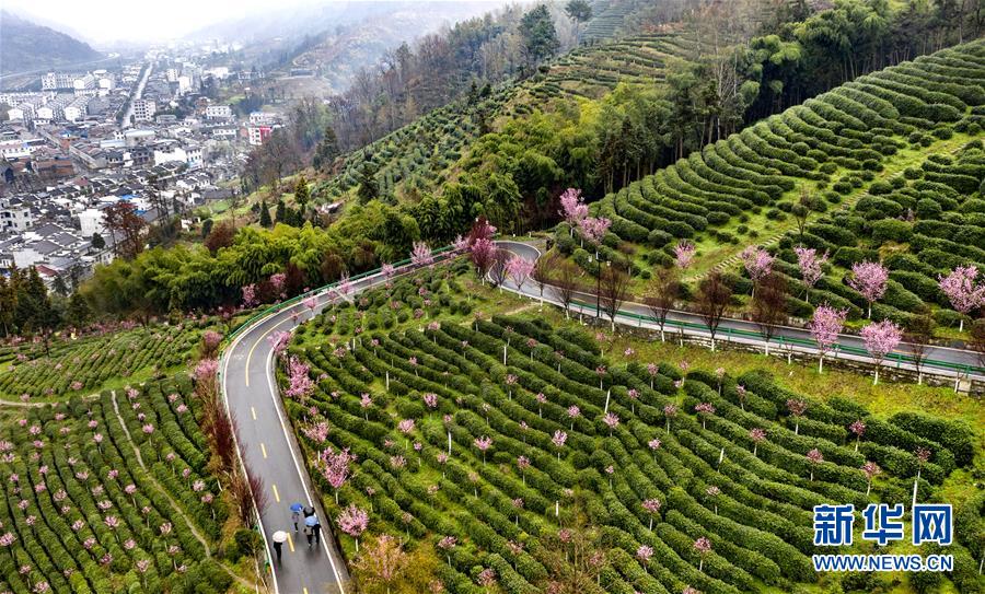 Der Frühling kommt in Shaanxi