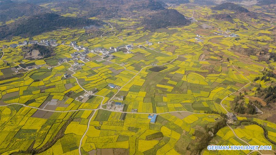 Goldene Rapsblumenfelder in Guizhou