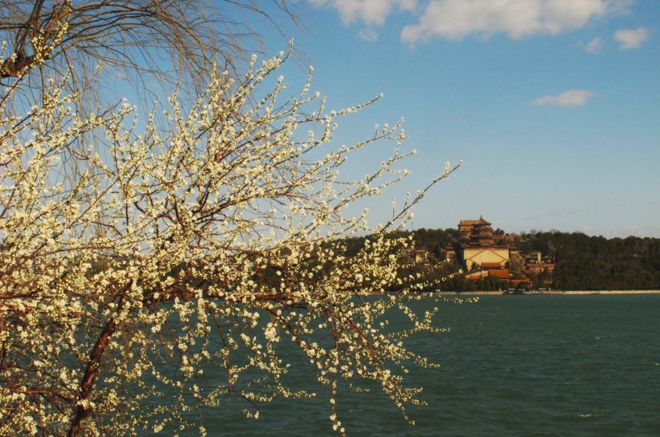 Pfirsichblüten-Landschaft im Sommerpalast