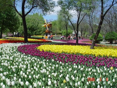 Der Shenyang Botanischer Garten