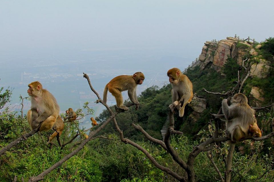 Huaguo Berg Scenic Area