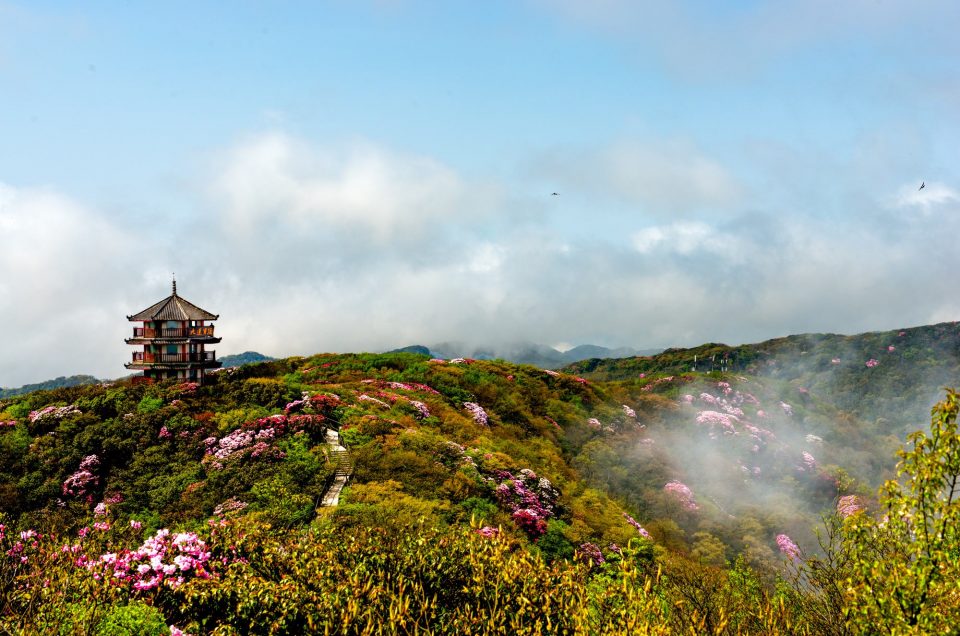 Nanchuan Jinfo-Berg