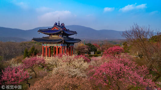 Nanjing International Plum Blossom Festival