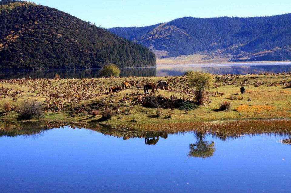 Shangri-la Pudatso Nationalpark