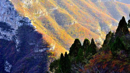 Yuntai Berg · Shennong Berg · Qingtianhe Landschaftsgebiet